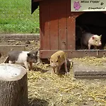 Schuett, Gerhard Und Elke -ferienhaus 6 Vakantiehuis